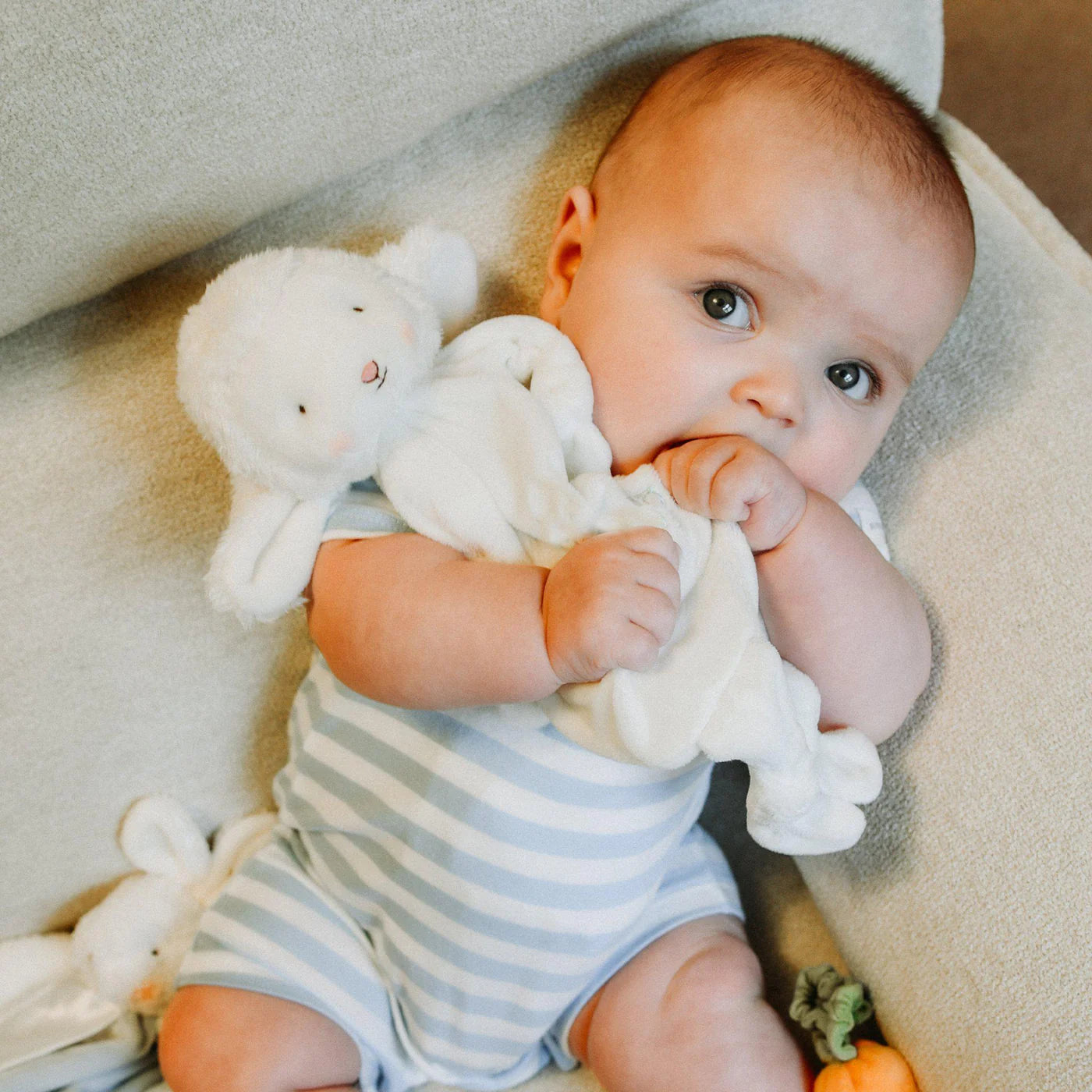 Kiddo the Lamb Knotty Friend