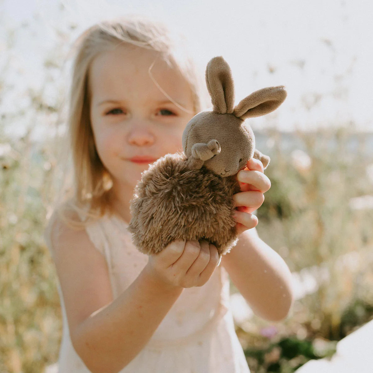 Roly Poly Brownie - Brown Bunny