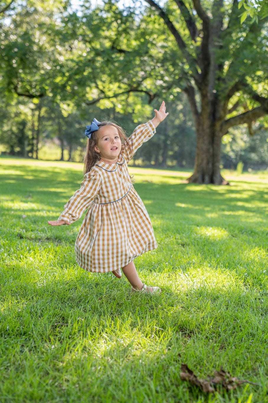 Janey Mustard Check Dress